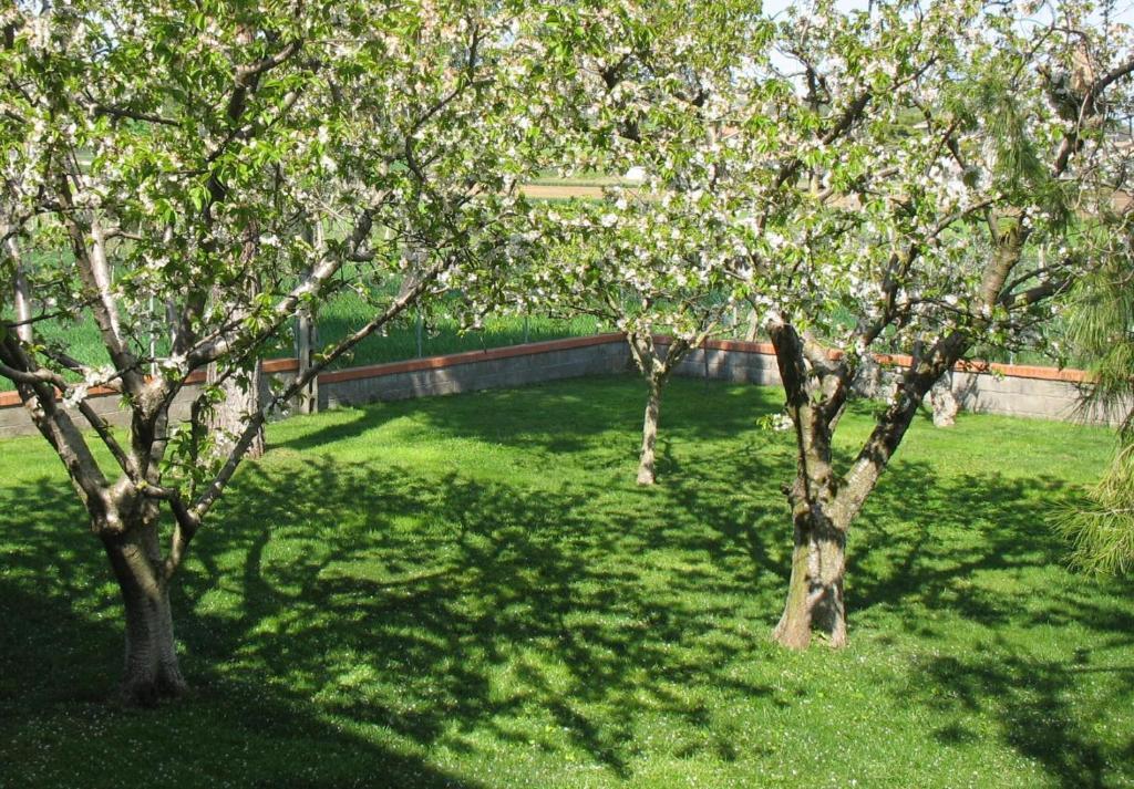 Bed & Breakfast Bompadre Civitanova Marche Exterior foto